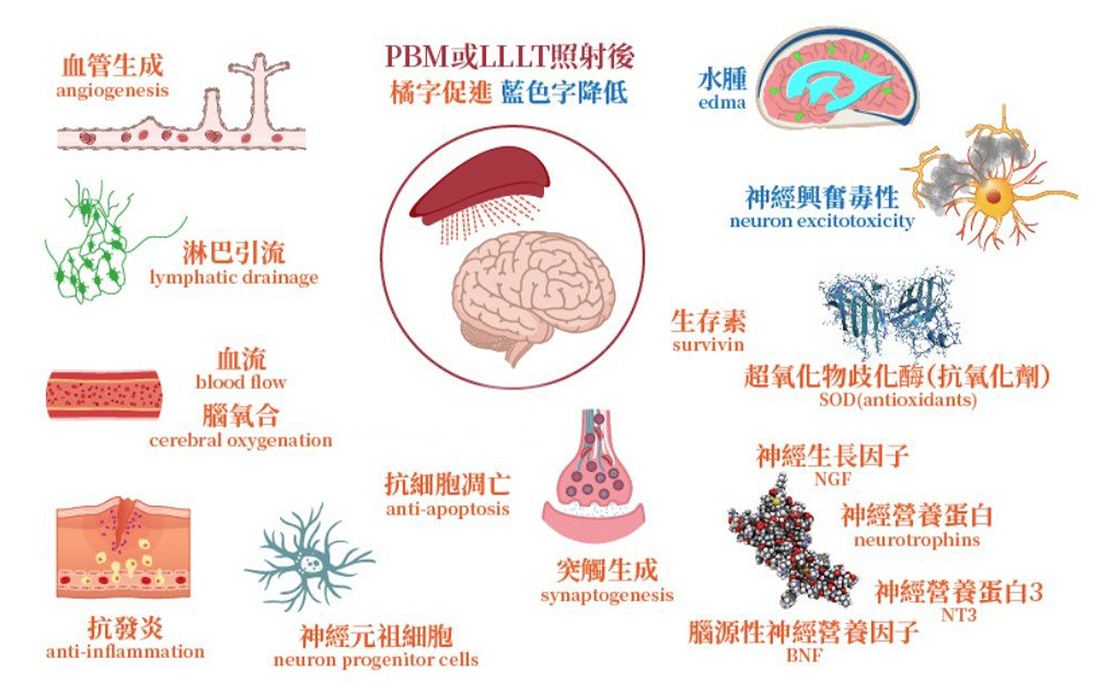 韓后醫美 光生物調節 氦氖雷射