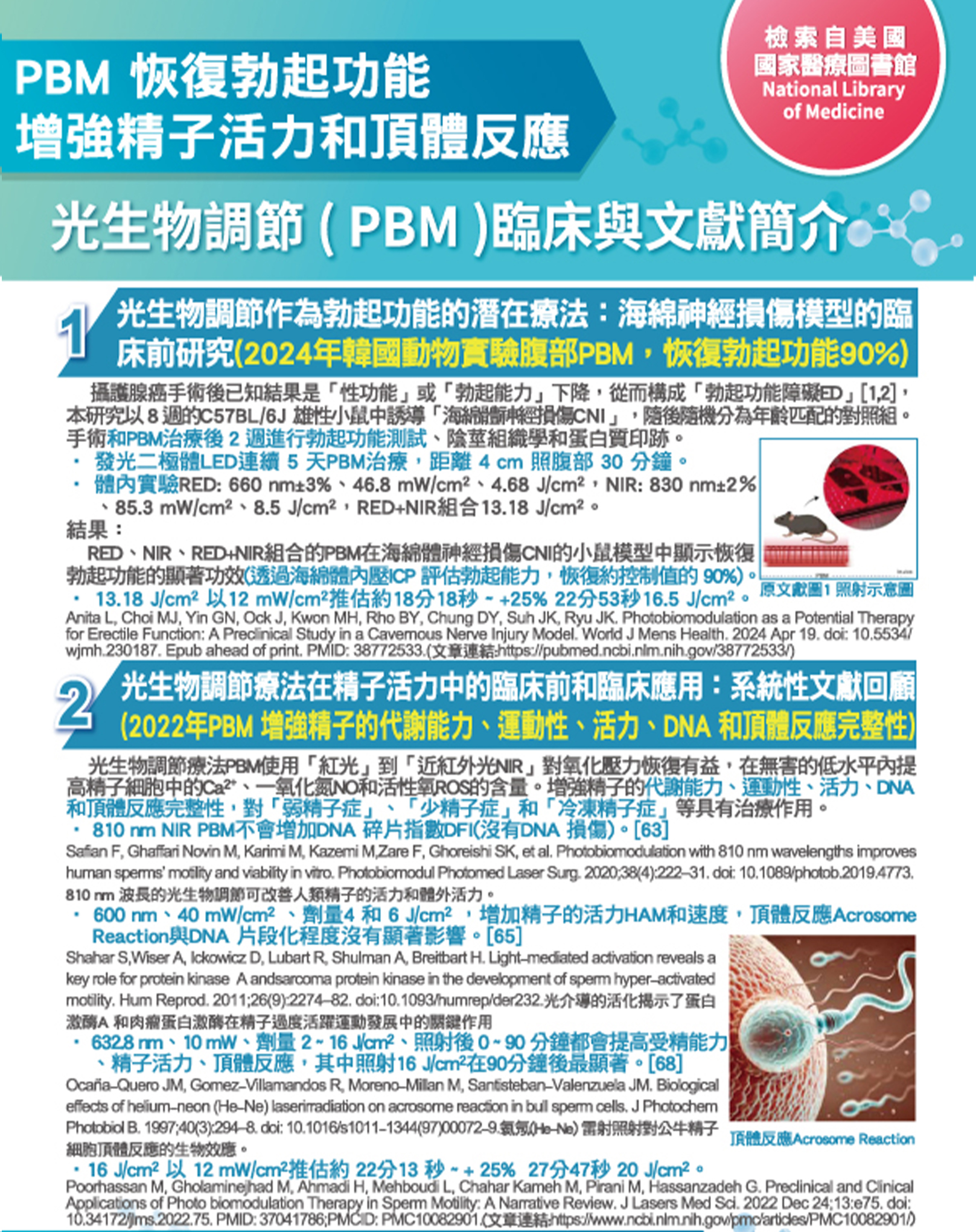 韓后醫美 氦氖雷射 光生物調節 PBM 光生物調節療法（Photobiomodulation Therapy; PBMT）是一種治療方法，利用特定波長的光線照射生物組織，以調節細胞功能、促進組織修復和治療疾病。改善勃起功能、增強精子活力和頂體反應