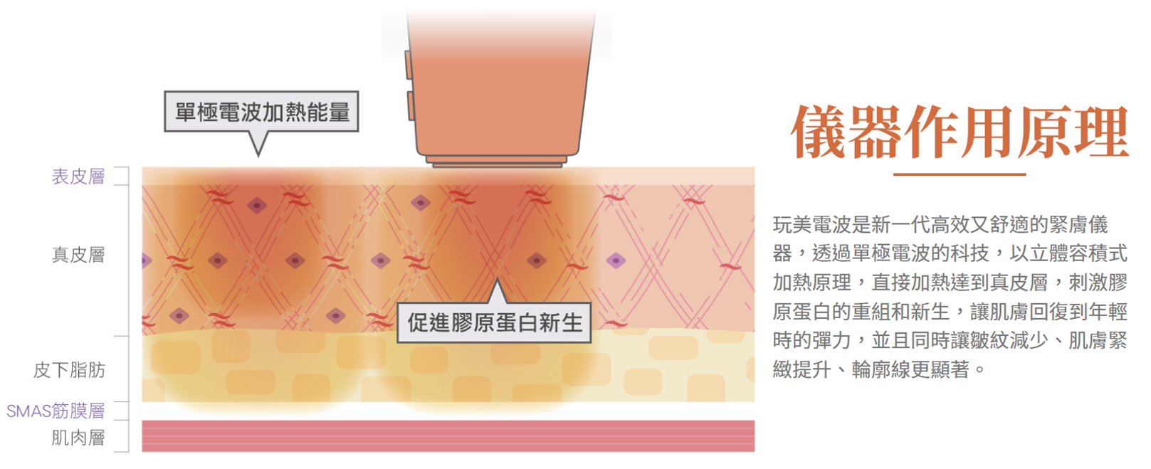 韓后醫美 玩美電波 Oligio 小S 徐熙娣 代言 除皺 拉提 緊緻 膠原蛋白