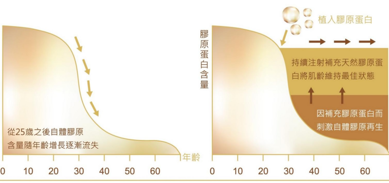 韓后醫美 膠原蛋白 熊貓針 改善色素型黑眼圈/眼周細紋