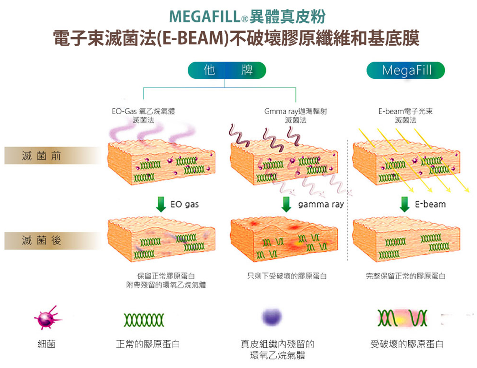 韓后醫美,美佳膚MegaFill異體真皮粉