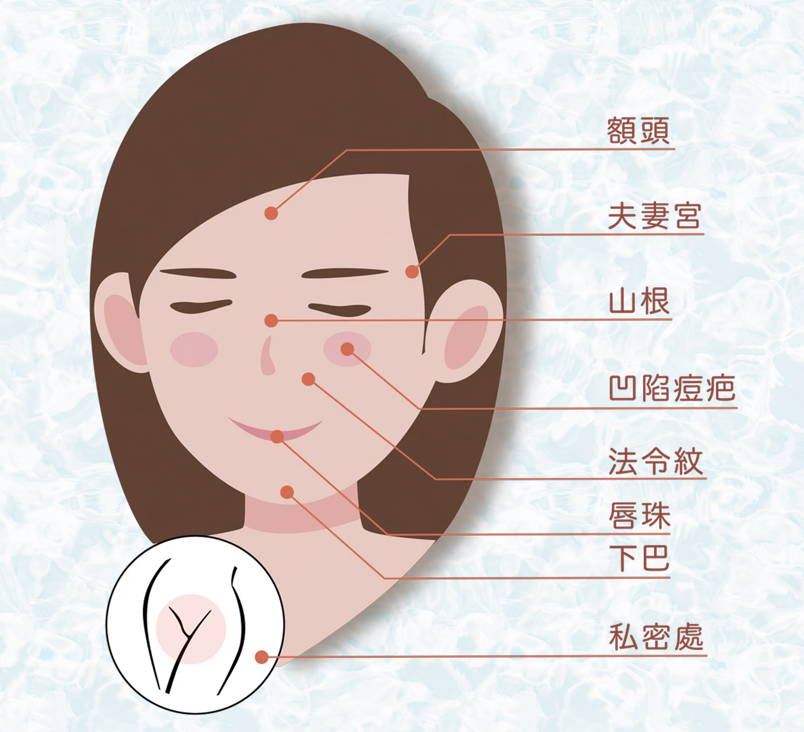 韓后醫美,美佳膚MegaFill異體真皮粉