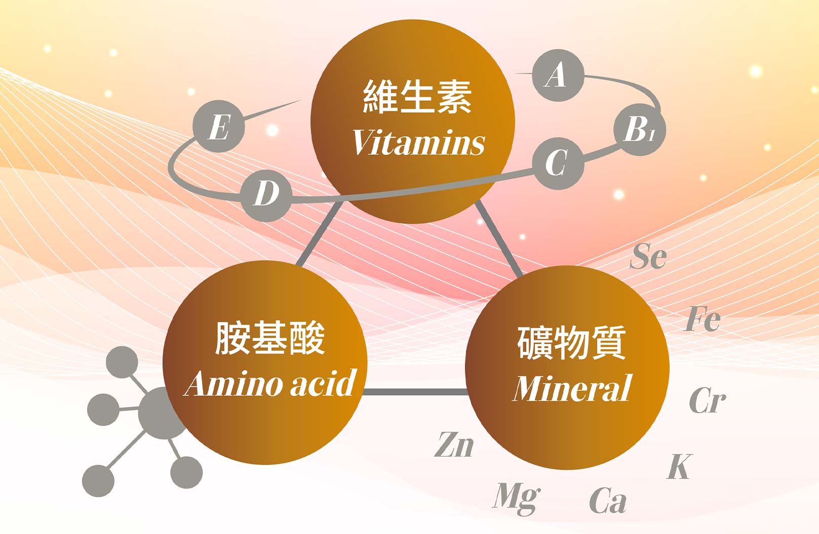 維生素,Vitamins,胺基酸,Amino acid,礦物質,Mineral,韓后醫美,細胞營養點滴,點滴