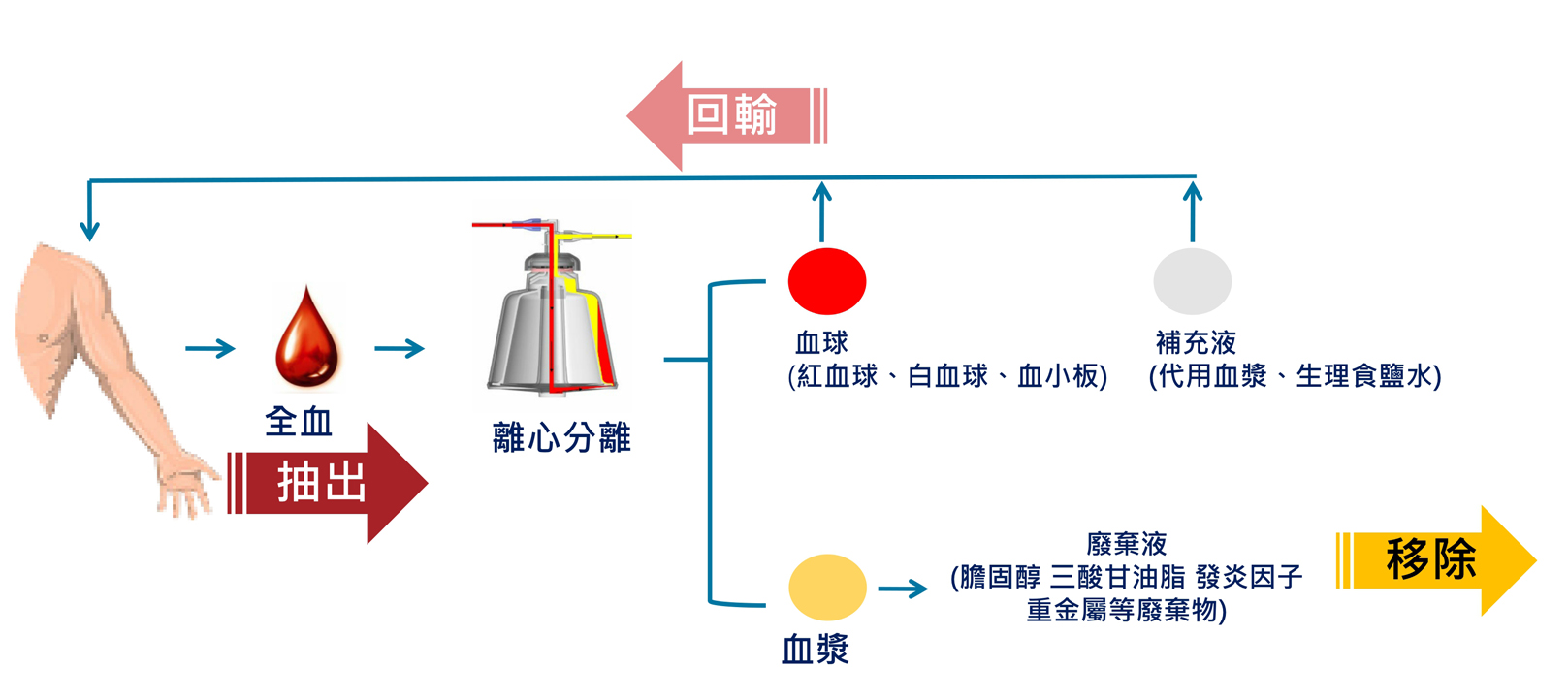 韓后醫美 降低心血管疾病風險 改善三高、減少慢性病症狀 提升睡眠品質 改善血管性功能障礙 預防早發失智症狀 細胞活動再生、延緩老化