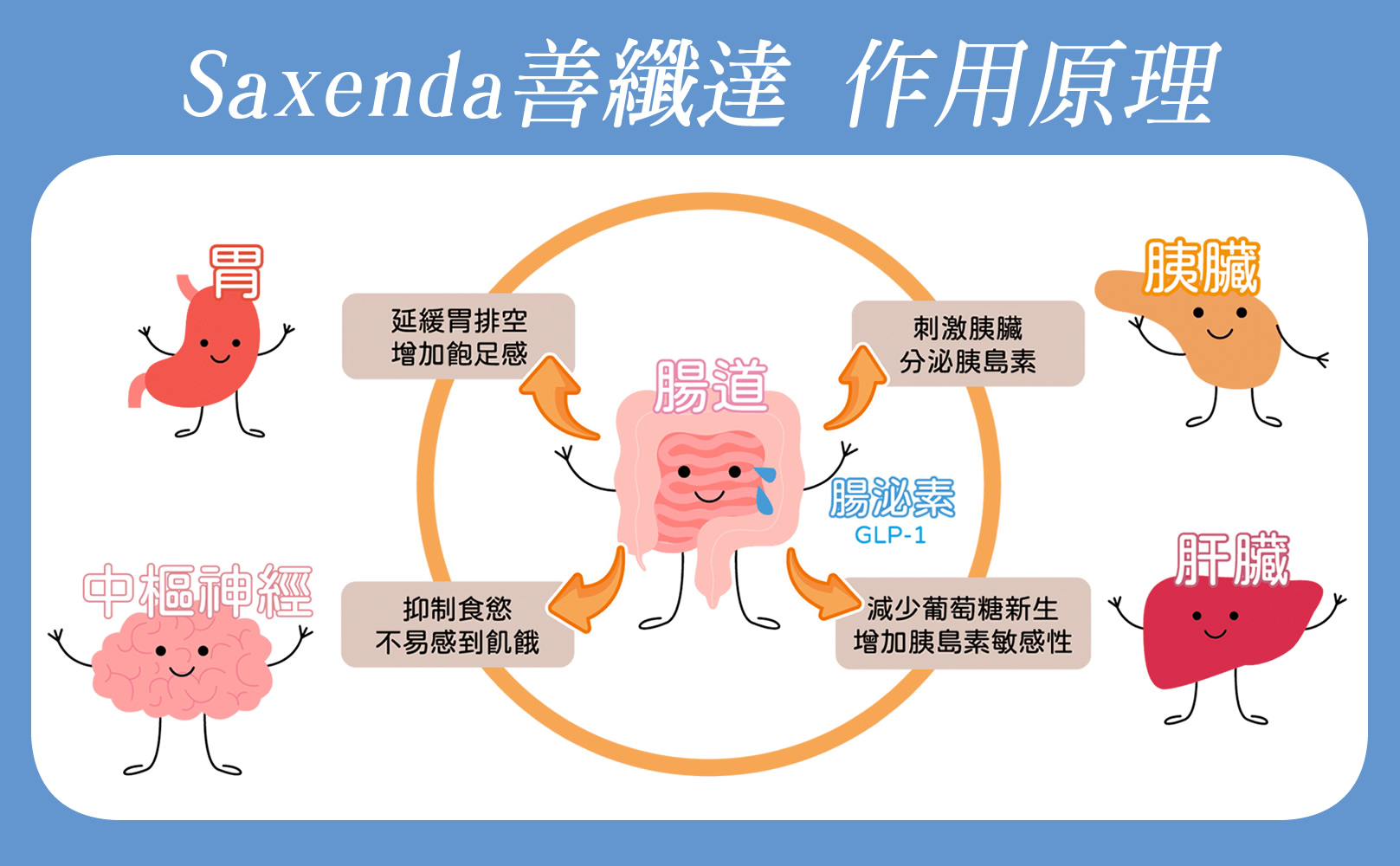 韓后醫美 善纖達Saxenda(瘦瘦筆) 作用原理 